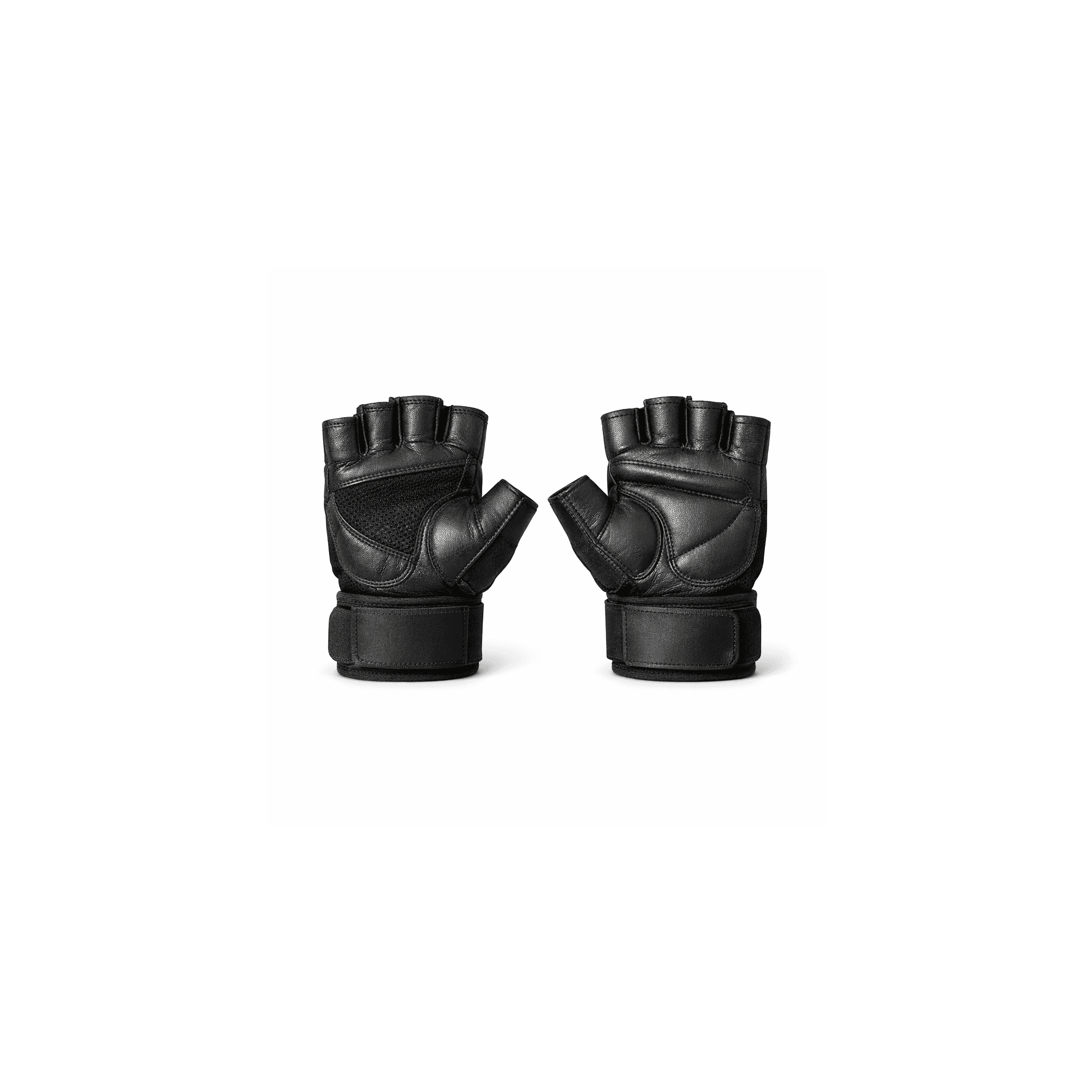 Boxing Gloves