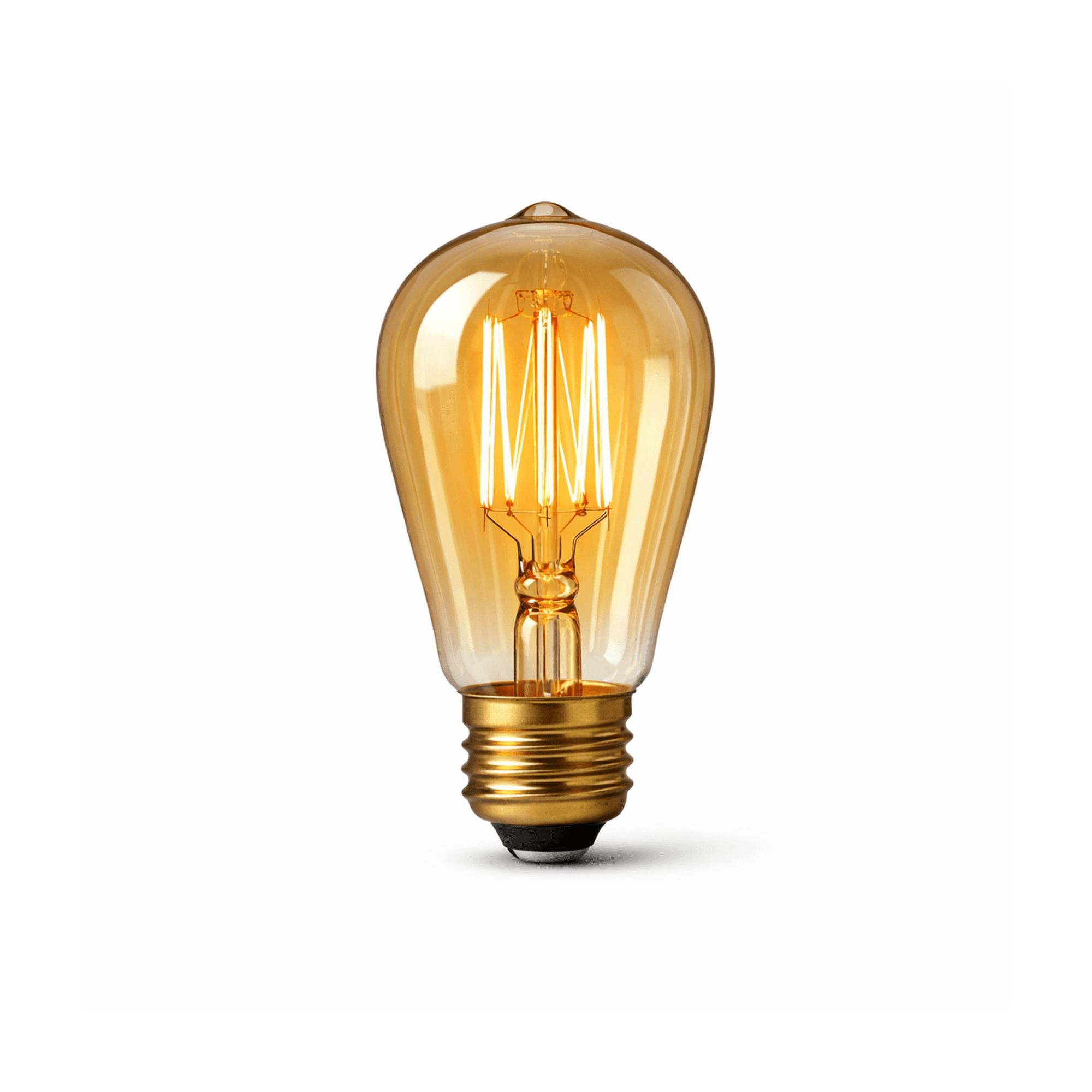 Edison Light Bulb