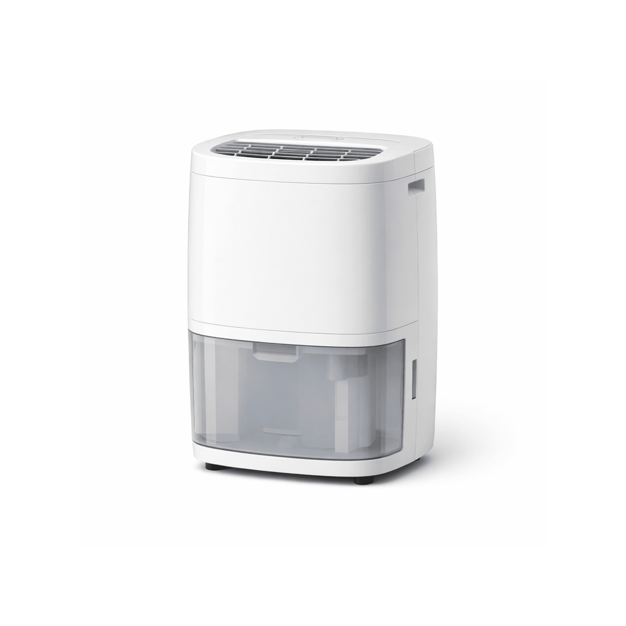 Basement Dehumidifier