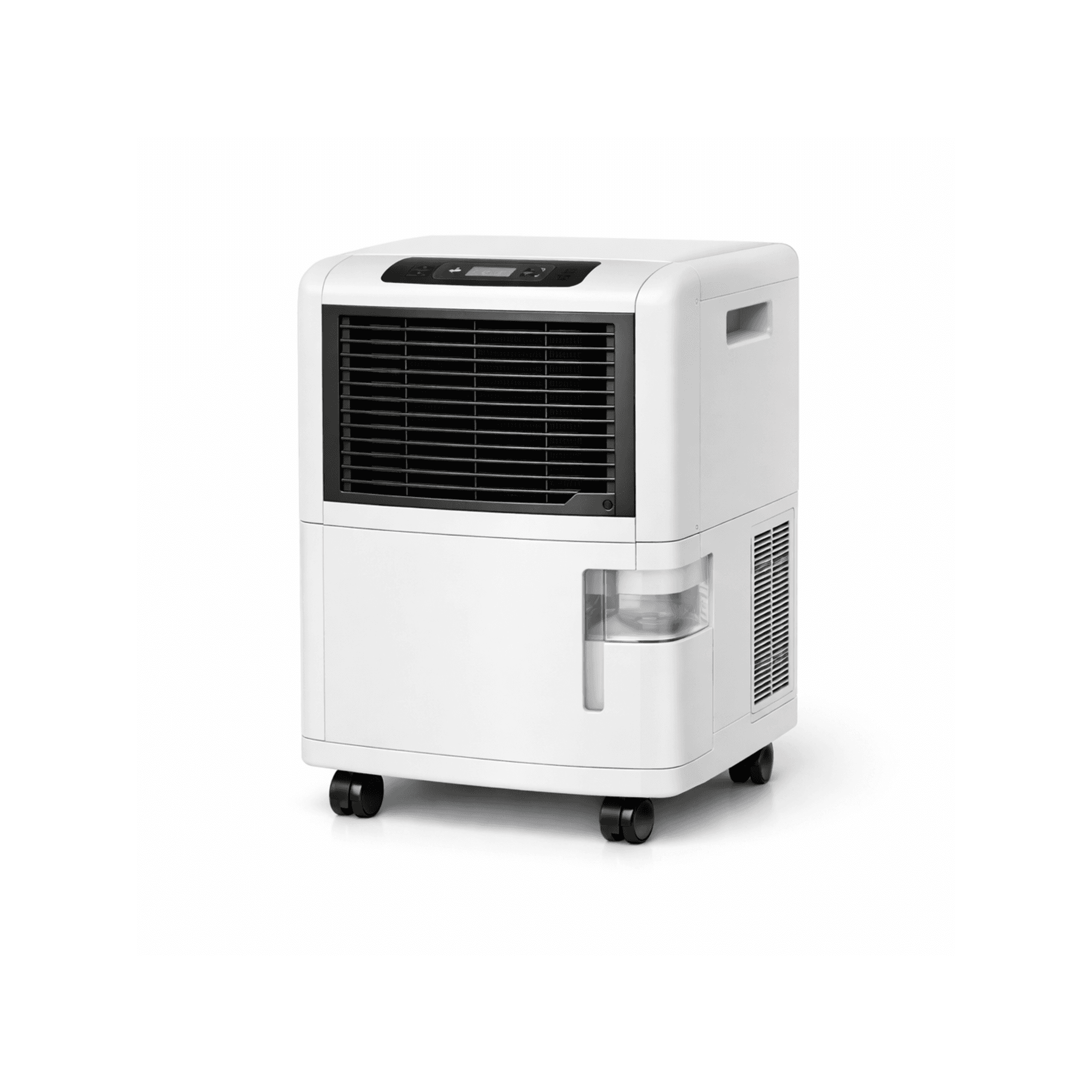 Basement Dehumidifier