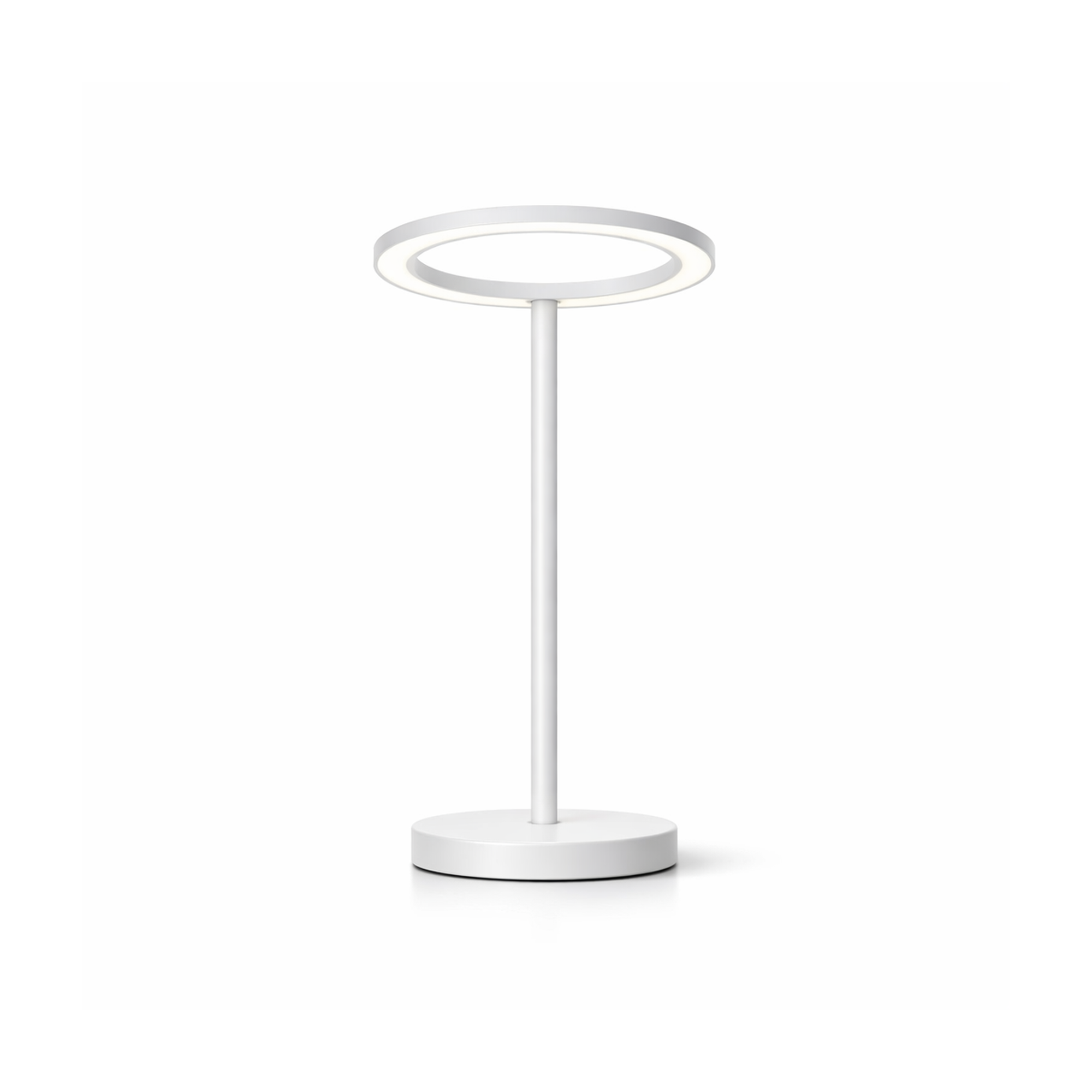 Modern LED Desk Lamp